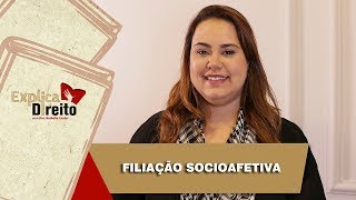 Explica Direito Filiação Socioafetiva  2019 [upl. by Yadnus]